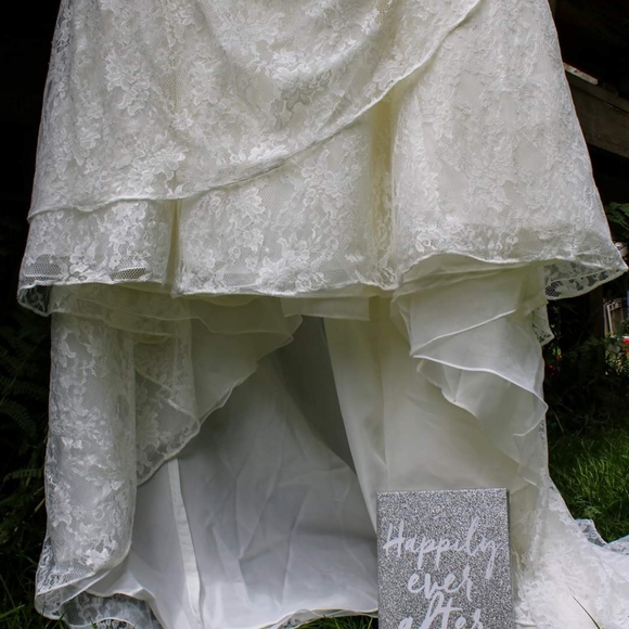 Plus size ivory lace wedding dress - Picture 2 of 8